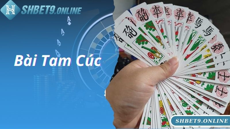 Cách chơi bài Tam Cúc thông tin cần biết