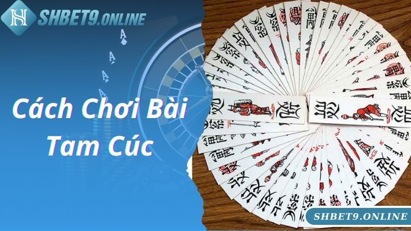 Tìm Hiểu Cách Chơi Bài Tam Cúc Trò Chơi Bài Truyền Thống Miền Bắc