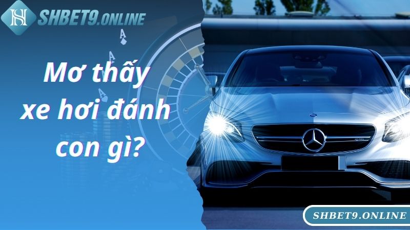 Mơ Thấy Xe Hơi Đánh Con Gì? Báo Hiệu Cho Tương Lai Của Chủ Thể