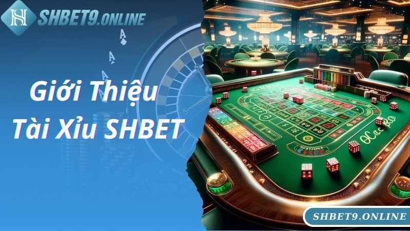 Khái quát thông tin giới thiệu chung về game Tài Xỉu SHBET