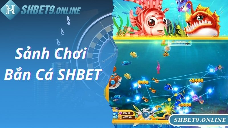 Các sảnh chơi được quan tâm, yêu thích tại bắn cá SHBET