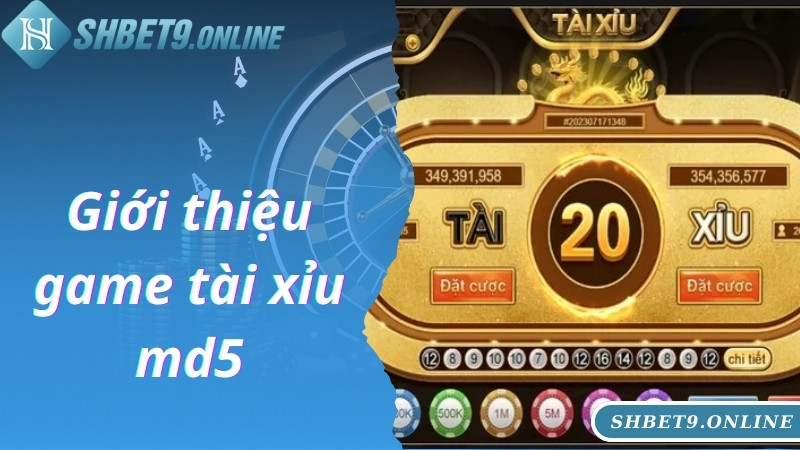 Giới thiệu game tài xỉu md5