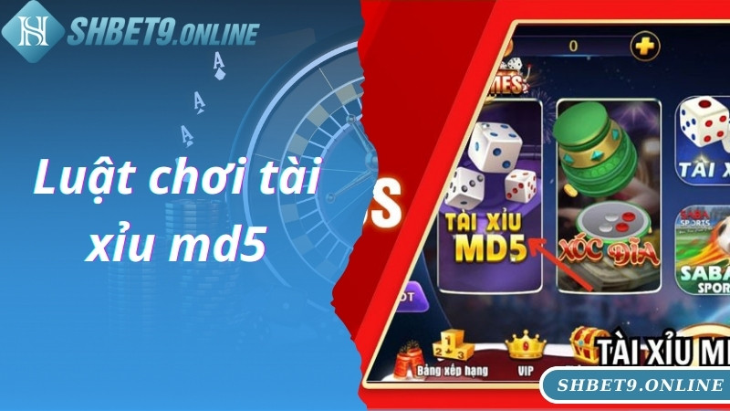 Luật chơi tài xỉu md5