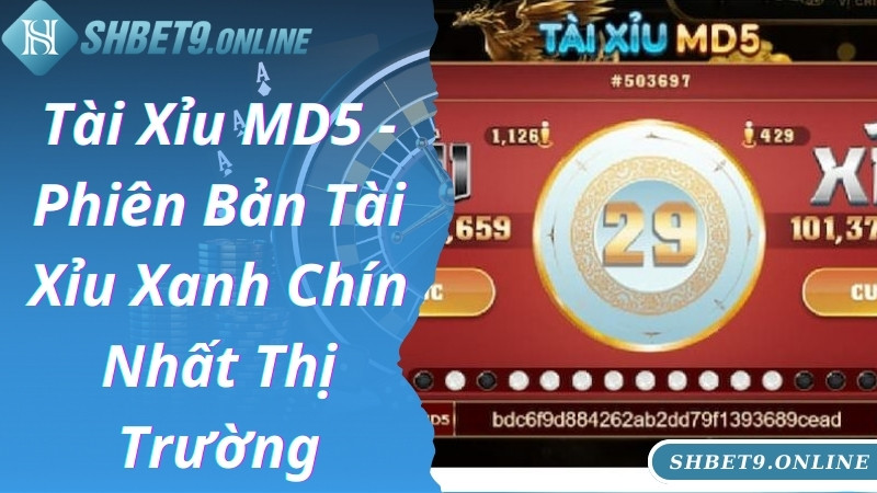 Tài Xỉu MD5 - Phiên Bản Tài Xỉu Xanh Chín Nhất Thị Trường